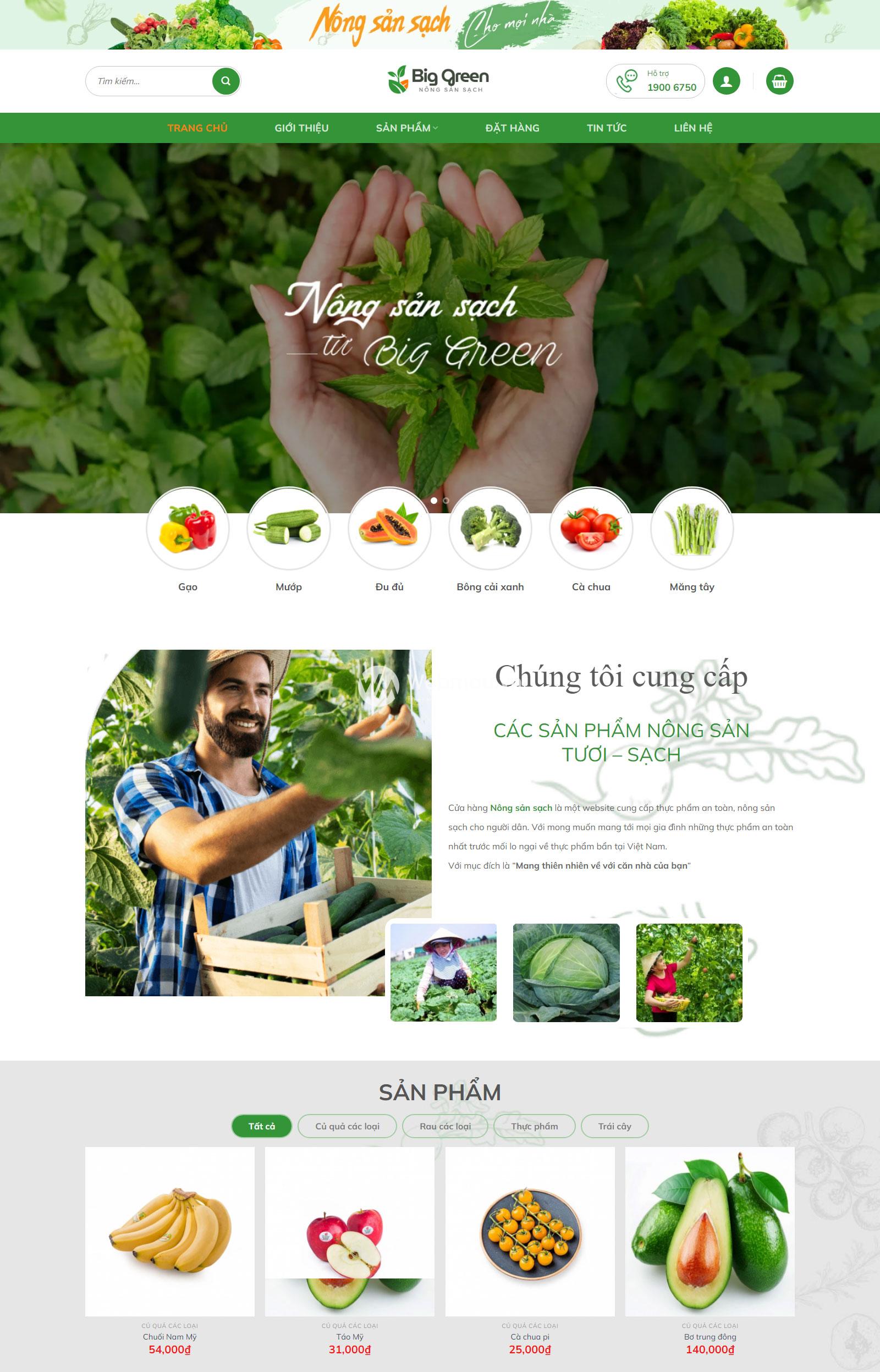 Kho giao diện thiết kế Website giá rẻ